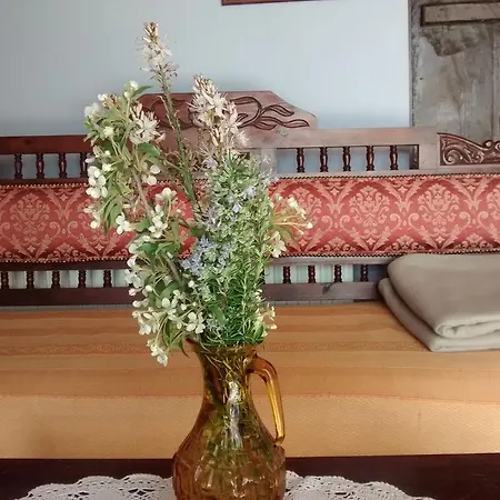 Garden Kamara House Country house Larnaca