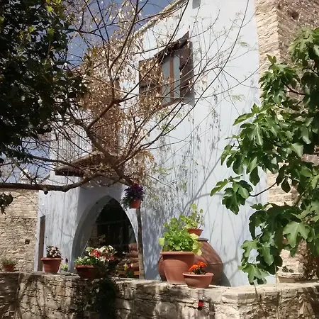 Garden Kamara House *