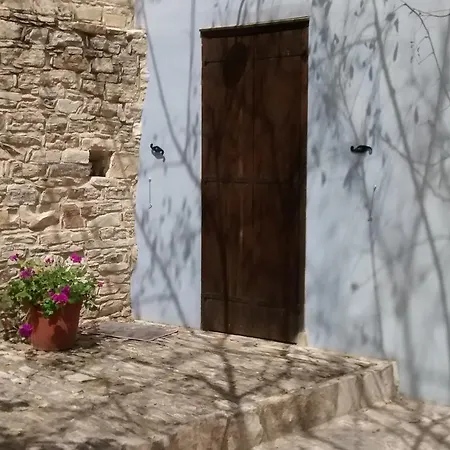 Garden Kamara House Country house