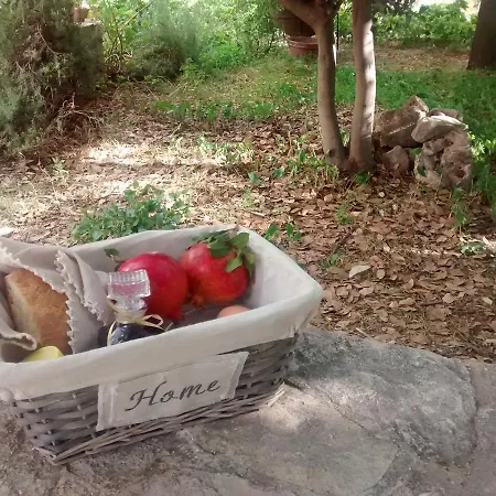 Garden Kamara House *