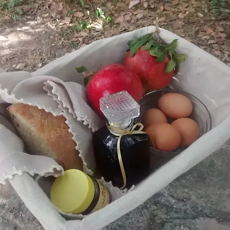 Garden Kamara House Gospodarstwo wiejskie *